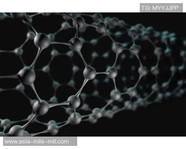 探索足球网材料的创新技术与应用前景分析